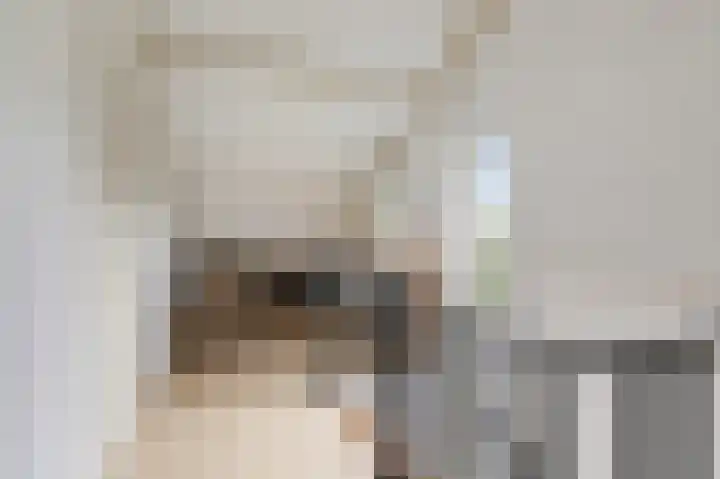 Wittehemelweg 21 Drempt thumbnail 37