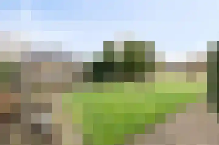 Wittehemelweg 21 Drempt thumbnail 41