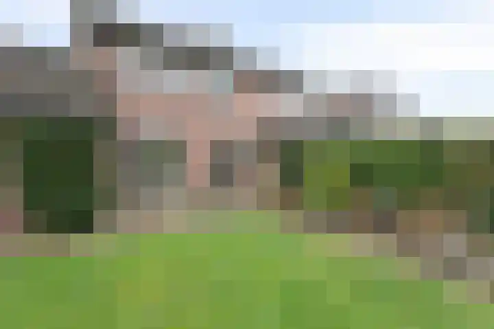 Wittehemelweg 21 Drempt thumbnail 44