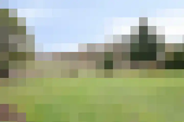 Wittehemelweg 21 Drempt thumbnail 45