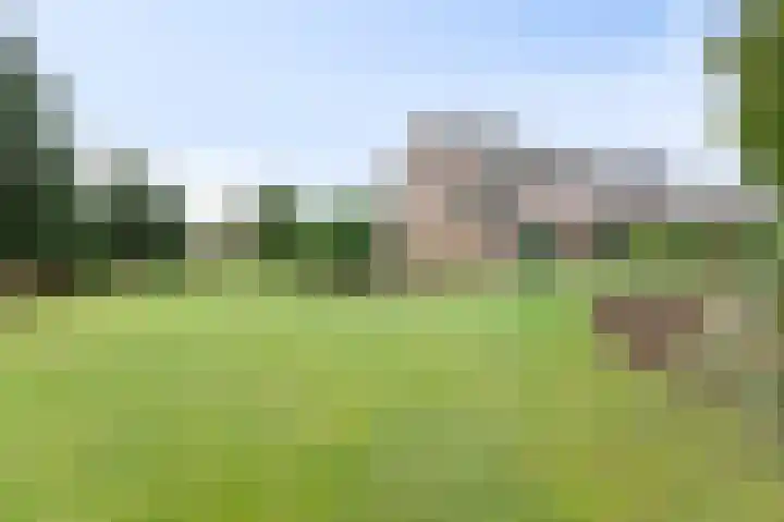 Wittehemelweg 21 Drempt thumbnail 46