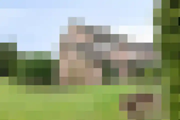 Wittehemelweg 21 Drempt thumbnail 47