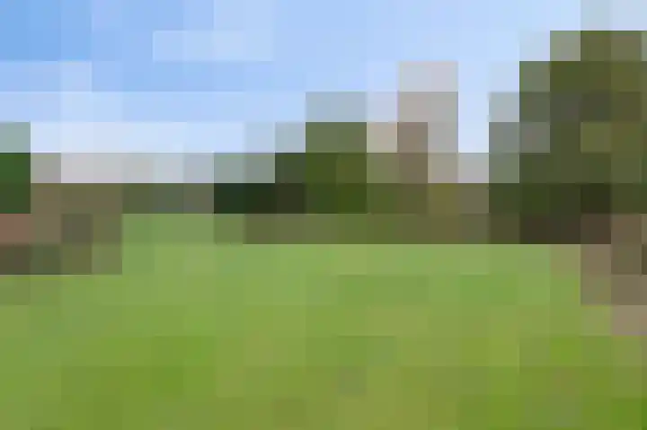Wittehemelweg 21 Drempt thumbnail 49