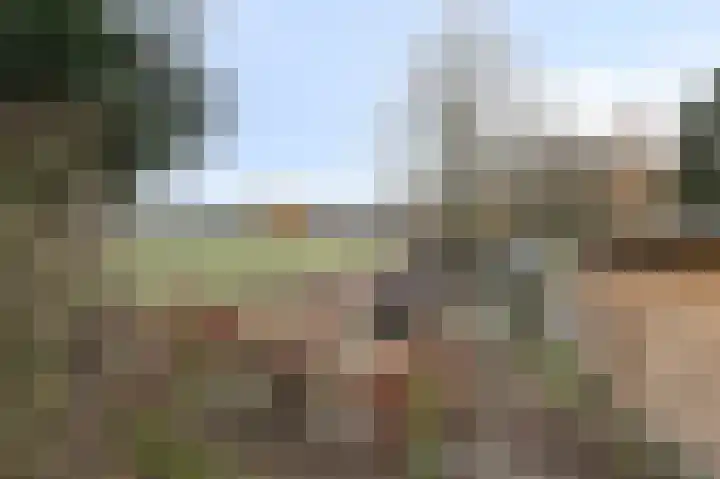 Wittehemelweg 21 Drempt thumbnail 50