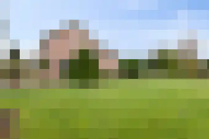 Wittehemelweg 21 Drempt thumbnail 51