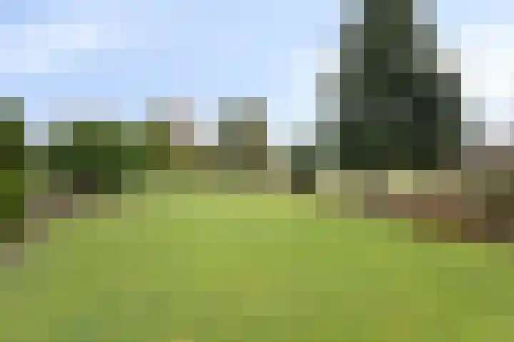 Wittehemelweg 21 Drempt thumbnail 52