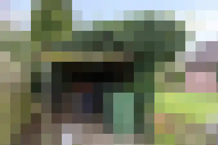 Wittehemelweg 21 Drempt thumbnail 53