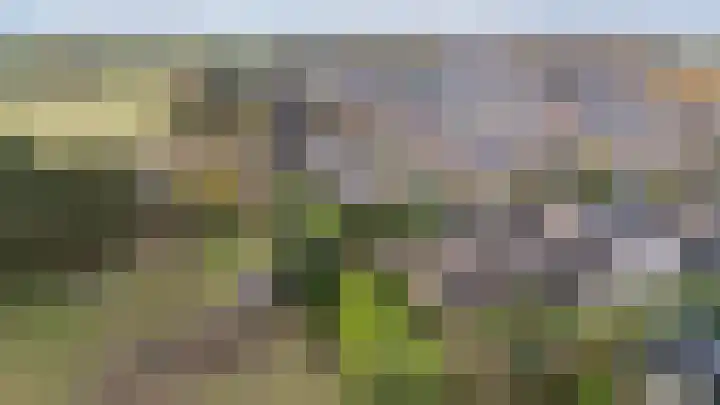 Wittehemelweg 21 Drempt thumbnail 8
