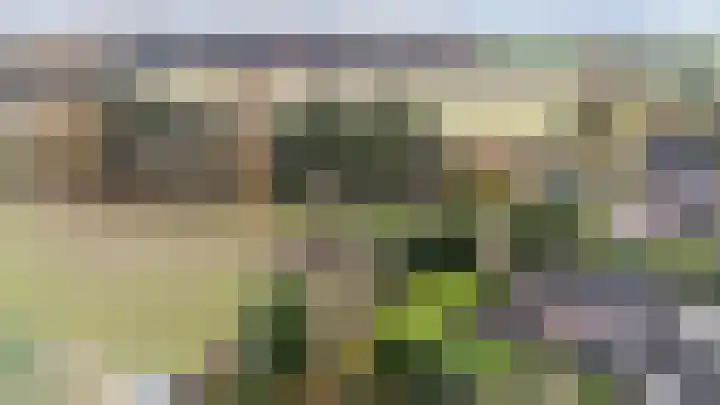 Wittehemelweg 21 Drempt thumbnail 9