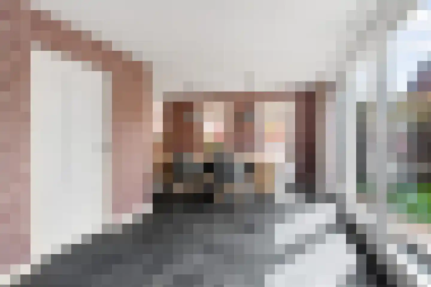 Wittehemelweg 4 Drempt thumbnail 18