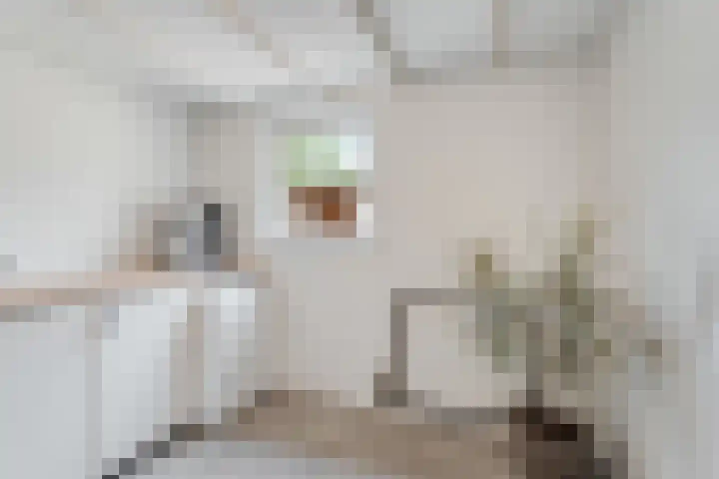 Wittehemelweg 4 Drempt thumbnail 20