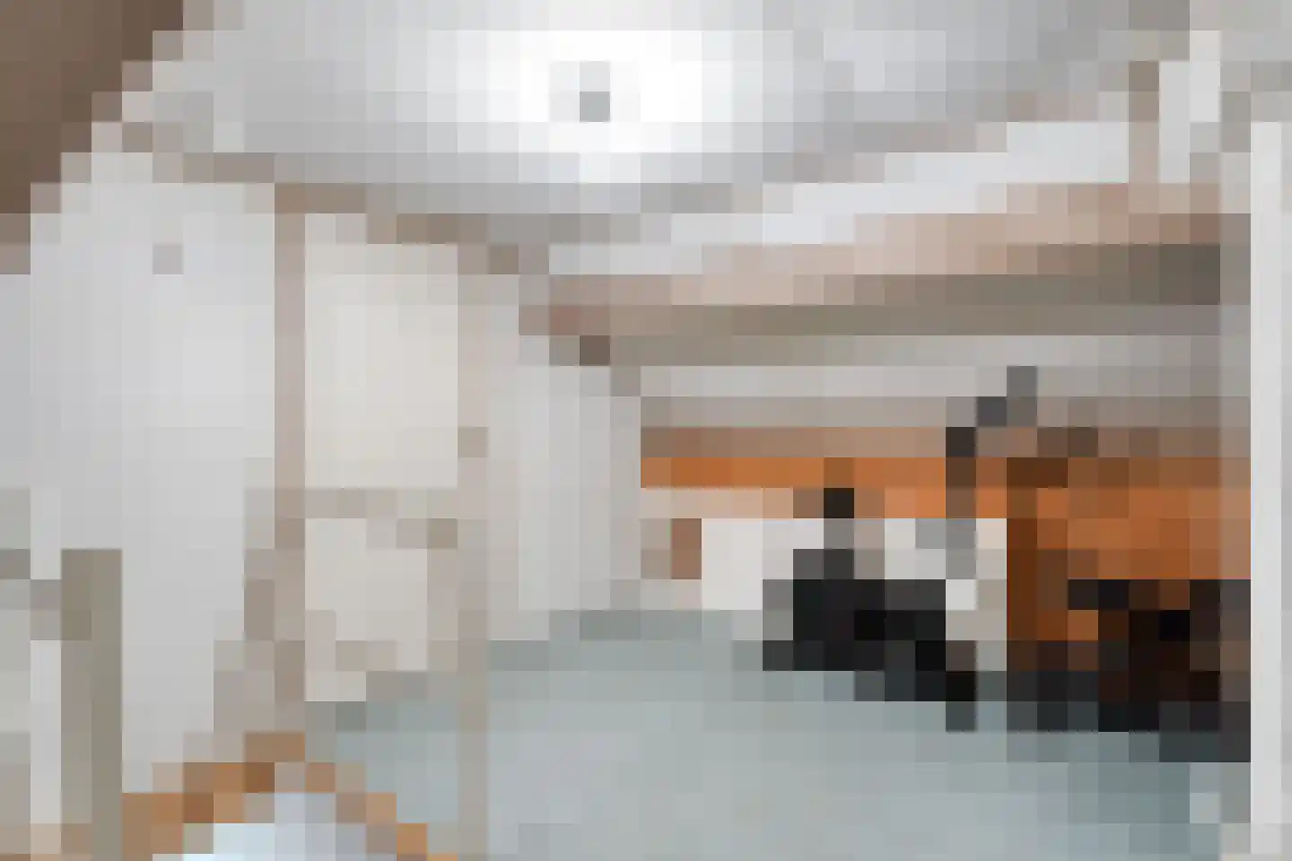 Wittehemelweg 4 Drempt thumbnail 34