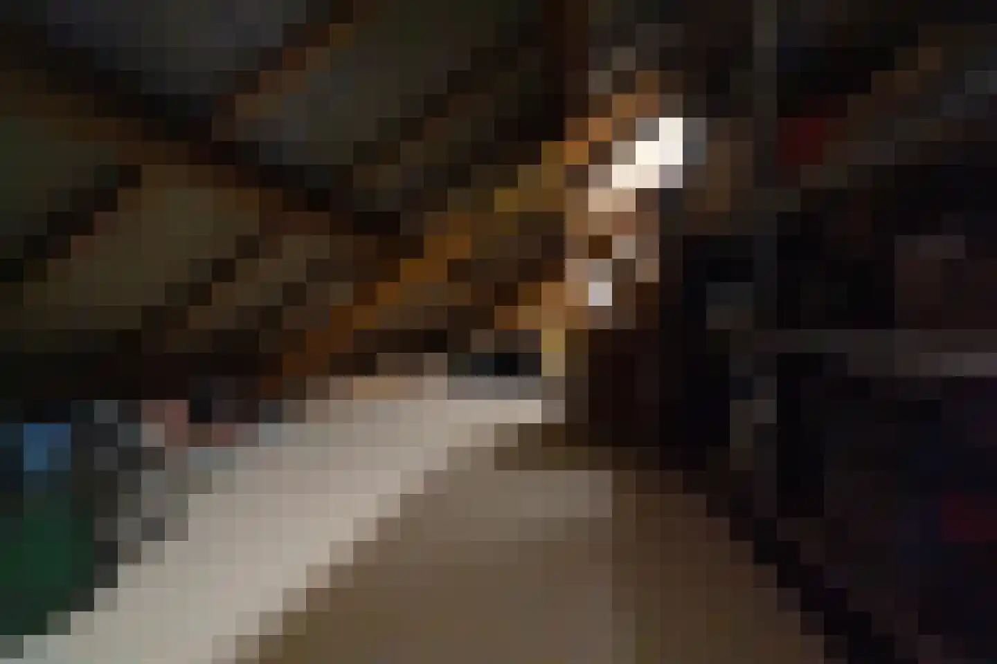 Wittehemelweg 4 Drempt thumbnail 37