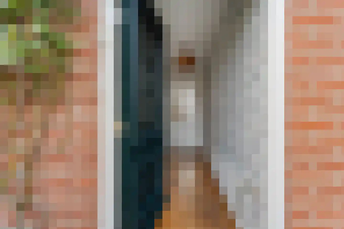 Wittehemelweg 4 Drempt thumbnail 4