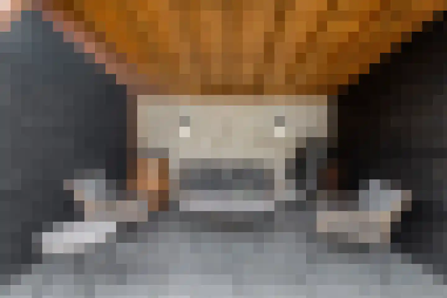 Wittehemelweg 4 Drempt thumbnail 40