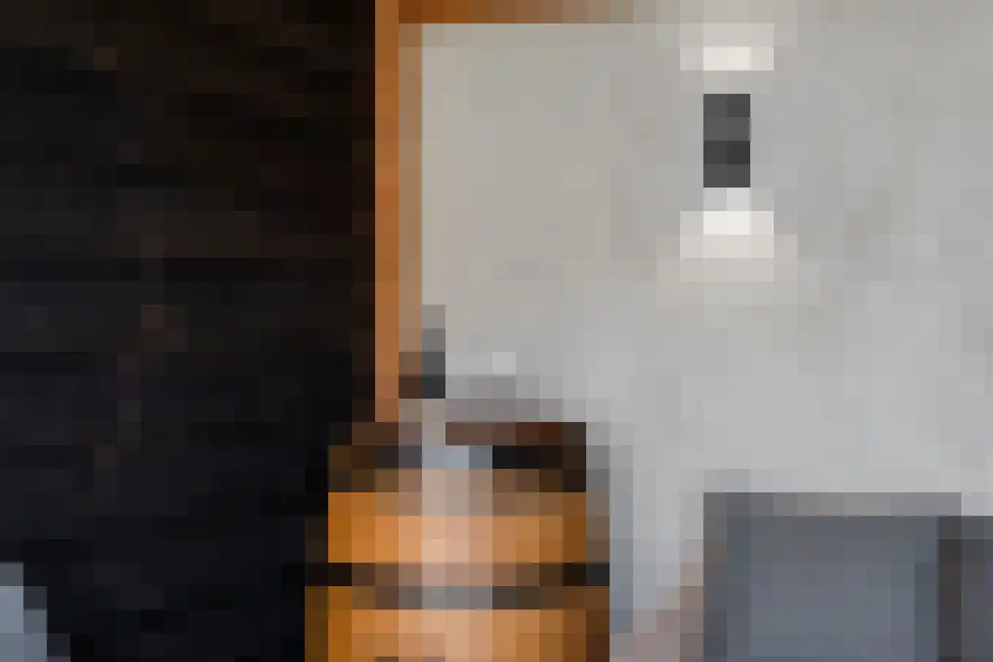 Wittehemelweg 4 Drempt thumbnail 41