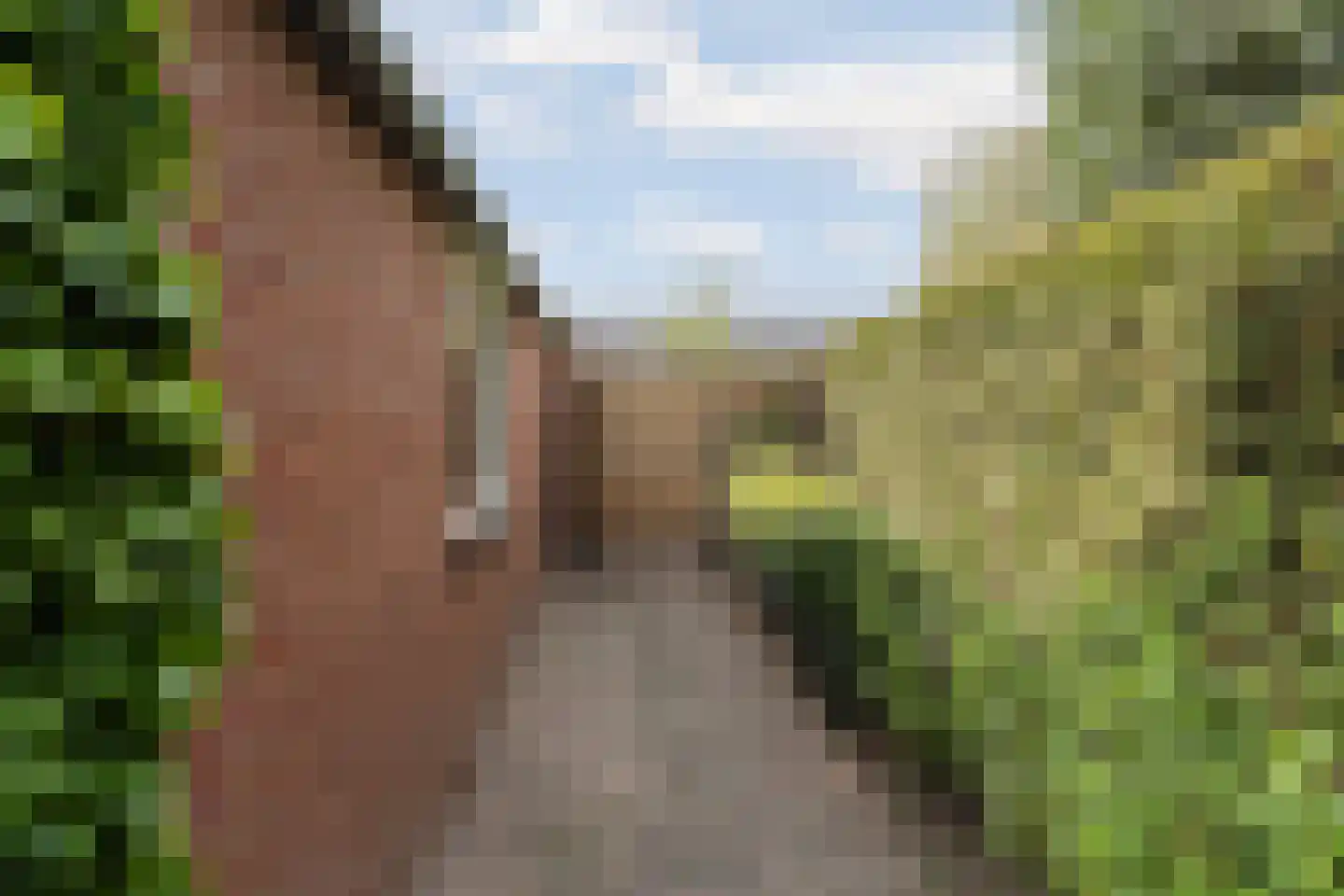 Wittehemelweg 4 Drempt thumbnail 46