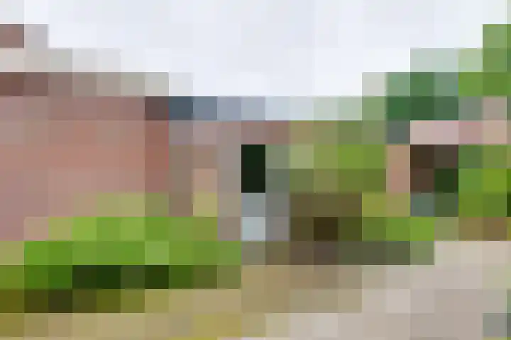 Wittejufferstraat 19 Zeddam thumbnail 49