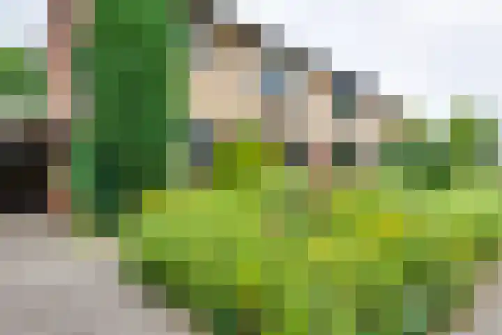 Wittejufferstraat 19 Zeddam thumbnail 6