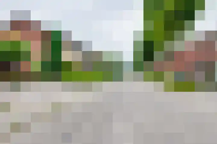 Wittejufferstraat 19 Zeddam thumbnail 60