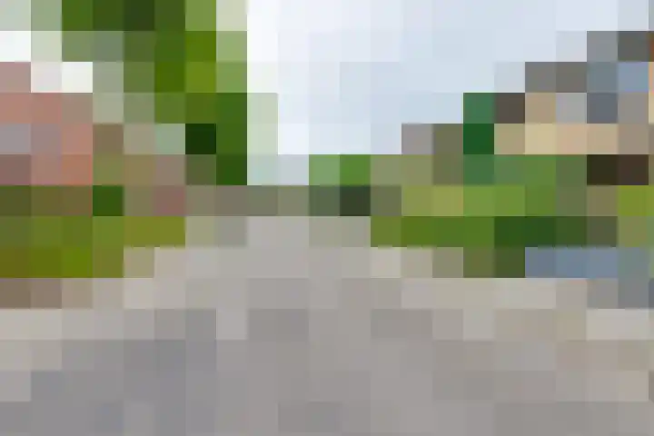 Wittejufferstraat 19 Zeddam thumbnail 61