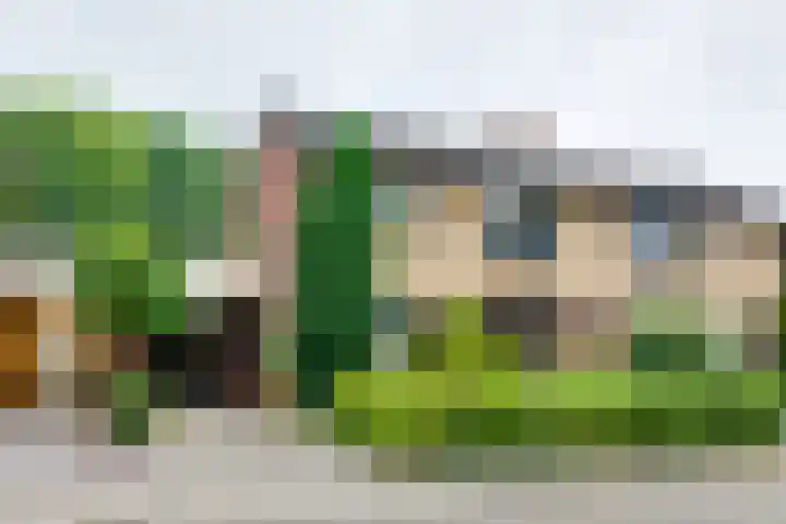 Wittejufferstraat 19 Zeddam thumbnail 71