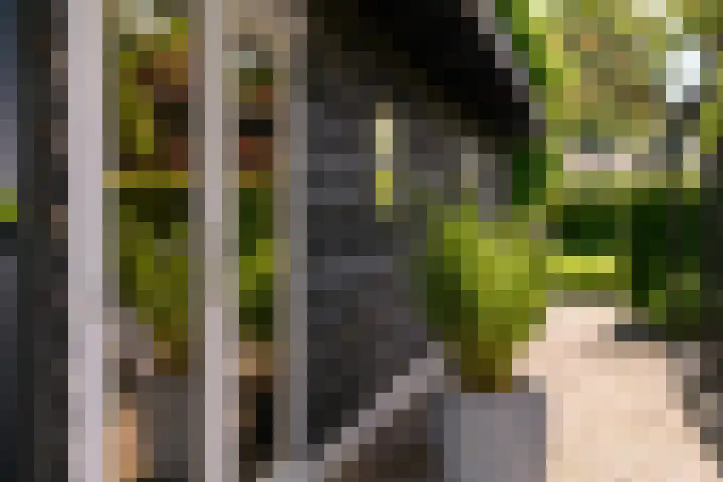 Wittekruisweg 37 Lieren thumbnail 63