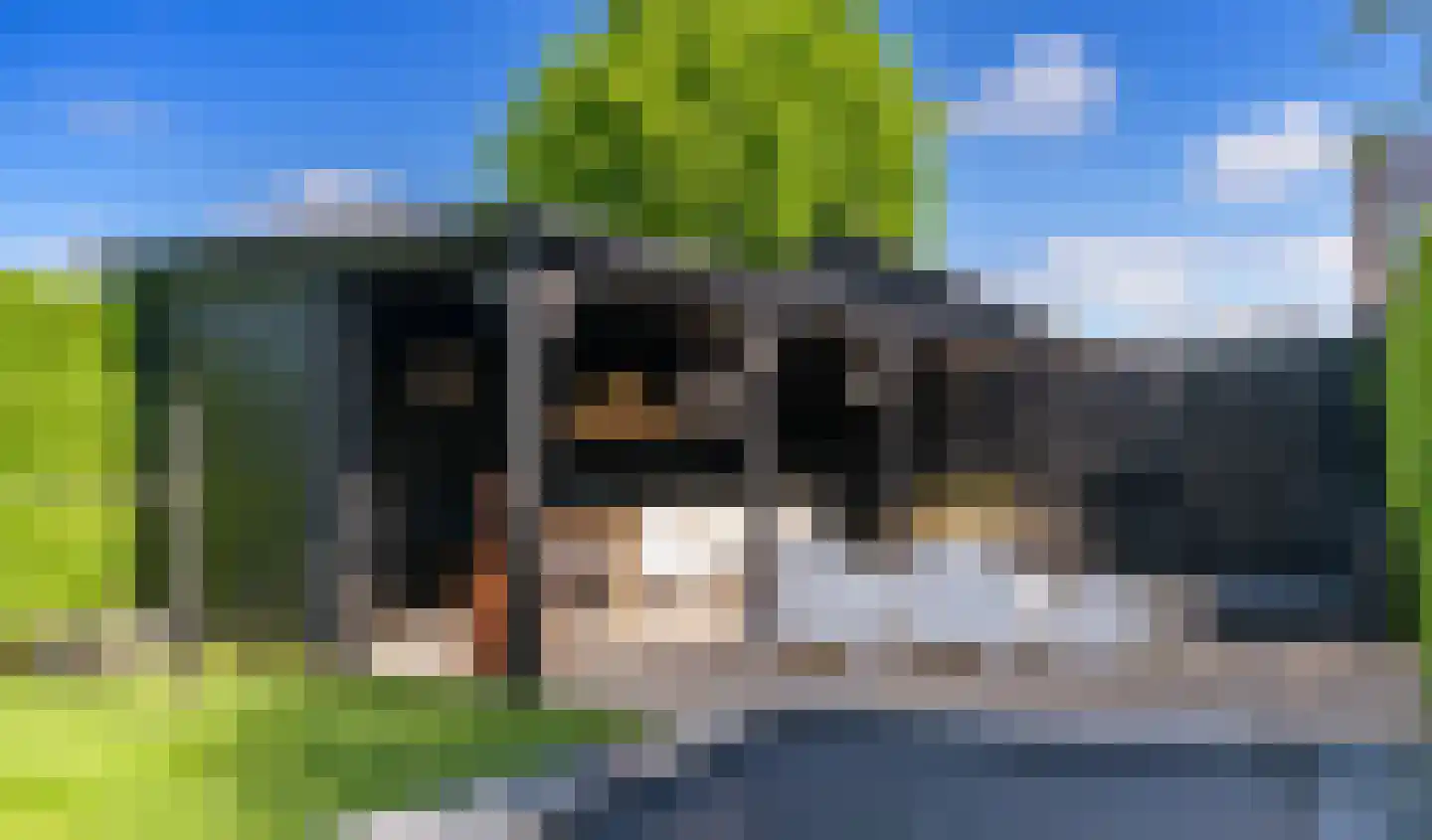 Wittekruisweg 37 Lieren thumbnail 75