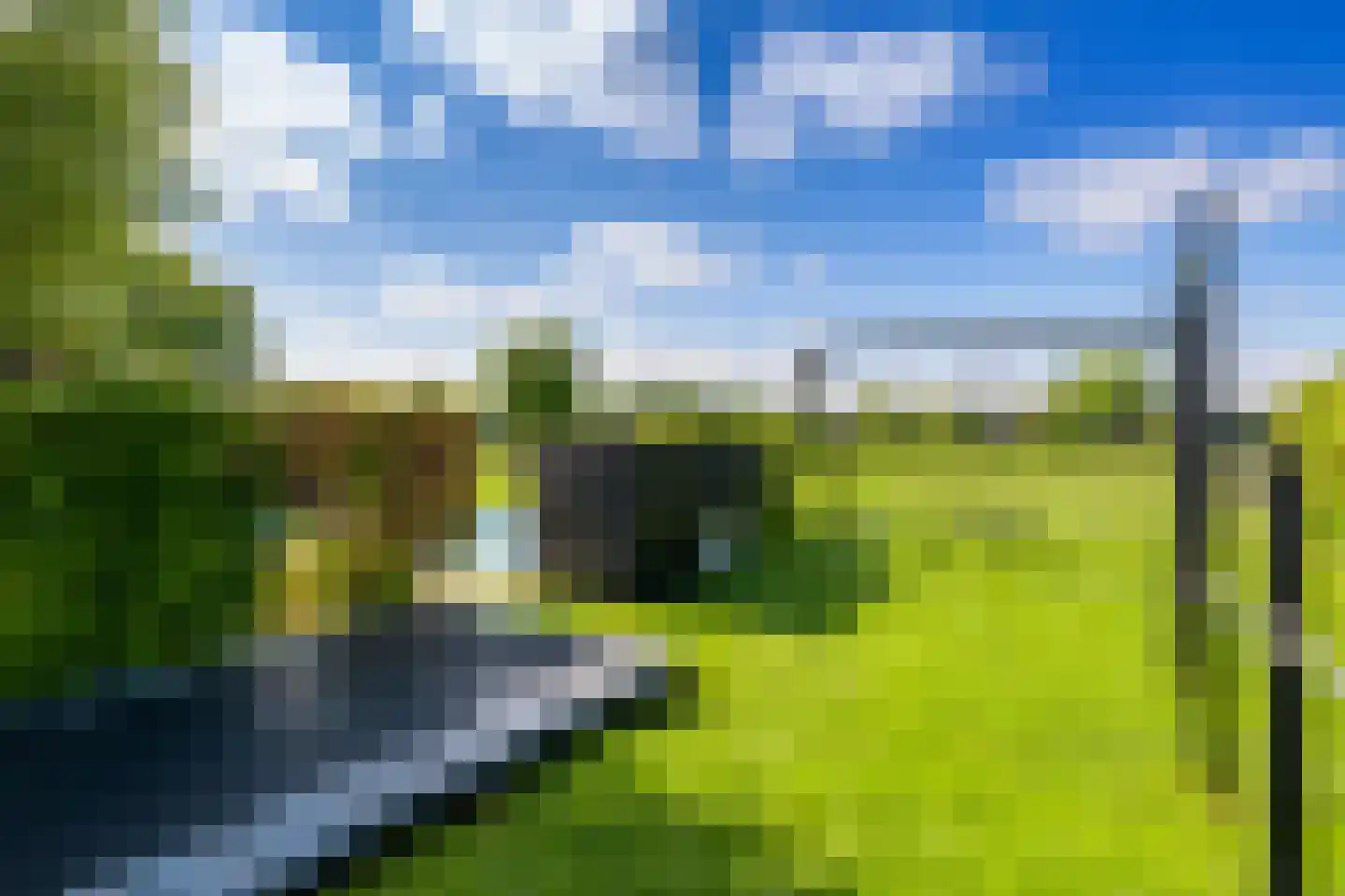 Wittekruisweg 37 Lieren thumbnail 77