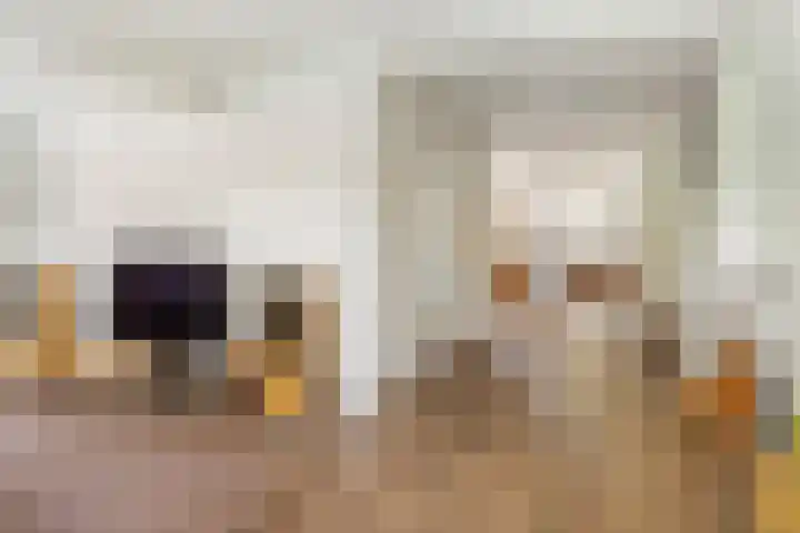 Wittelaan 13 Baarn thumbnail 17
