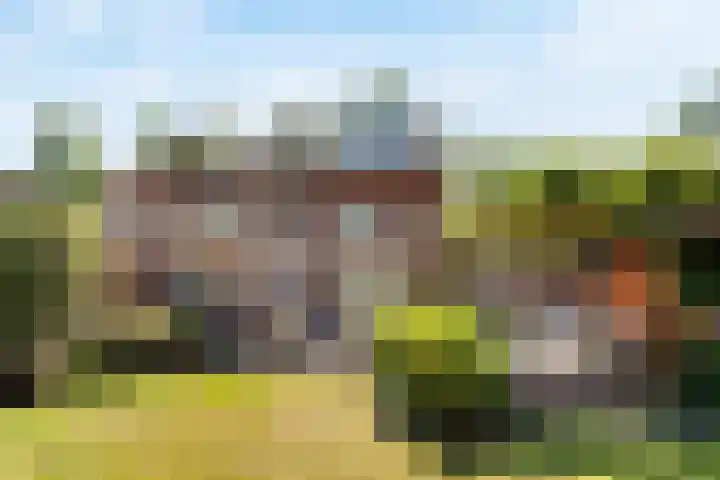 Wittelaan 13 Baarn thumbnail 39