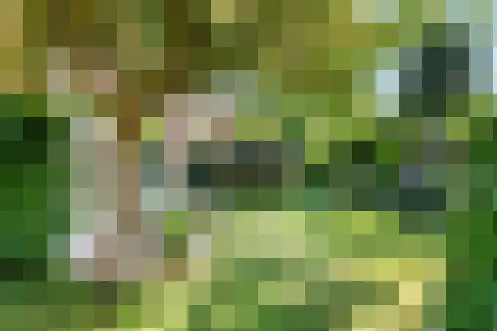 Wittelaan 13 Baarn thumbnail 40