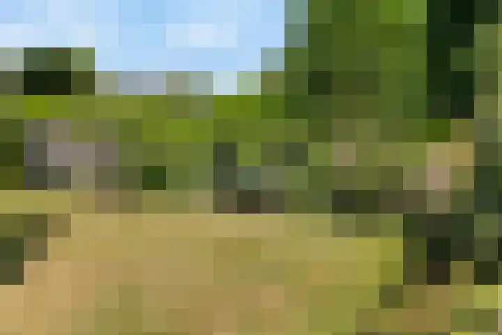 Wittelaan 13 Baarn thumbnail 41