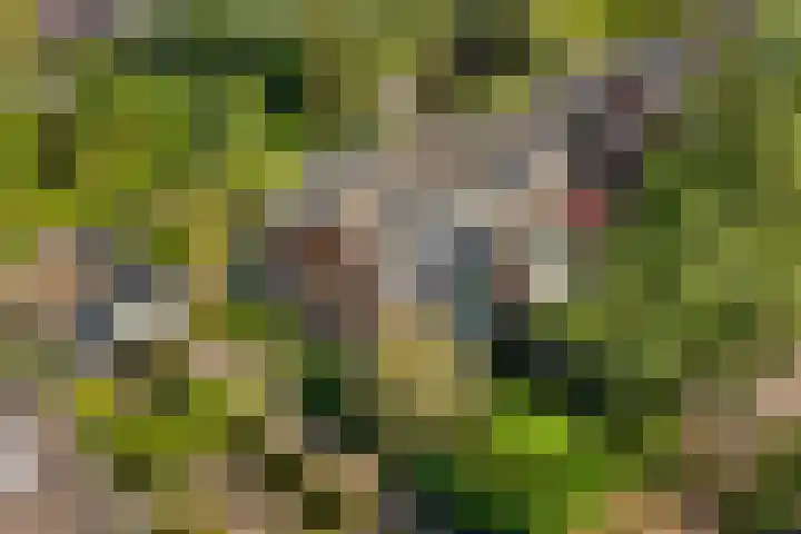Wittelaan 13 Baarn thumbnail 46