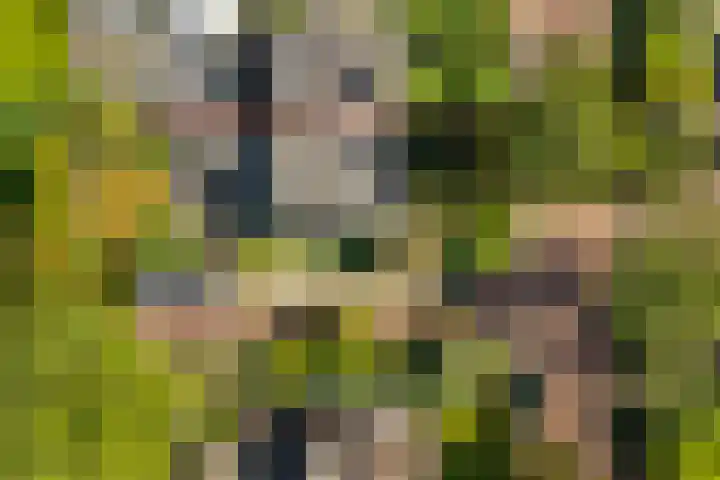 Wittelaan 13 Baarn thumbnail 47
