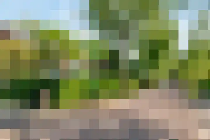 Wittelaan 13 Baarn thumbnail 5