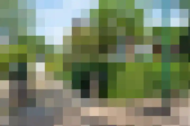 Wittelaan 13 Baarn thumbnail 59