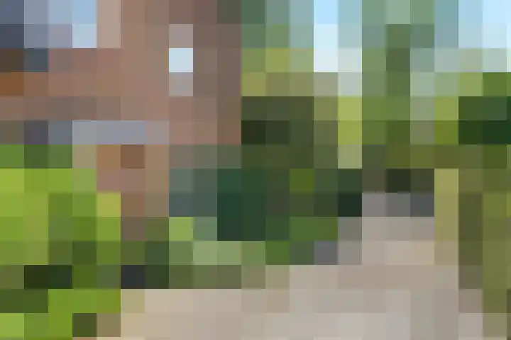Wittelaan 13 Baarn thumbnail 7