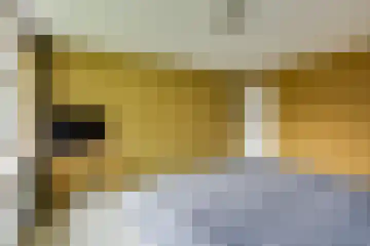 Wittelaan 21 Baarn thumbnail 28