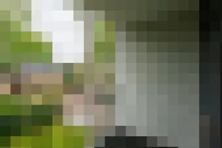 Wittelaan 21 Baarn thumbnail 30