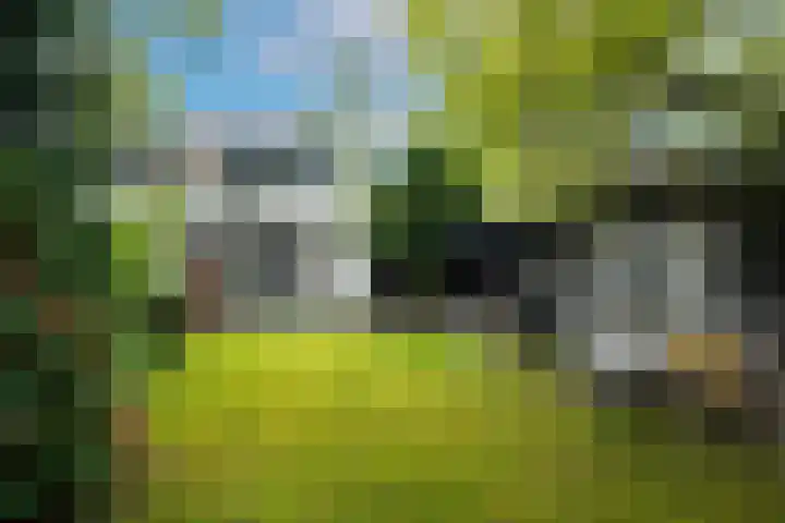 Wittelaan 21 Baarn thumbnail 41