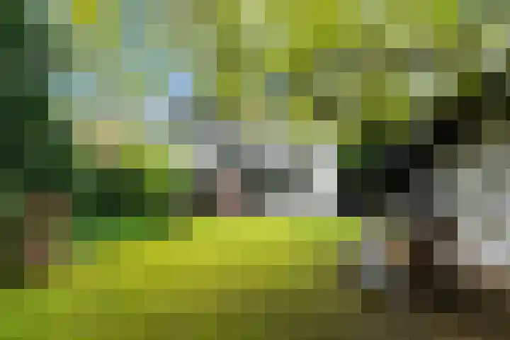 Wittelaan 21 Baarn thumbnail 42