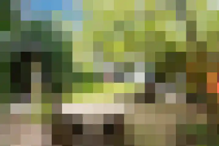 Wittelaan 21 Baarn thumbnail 43