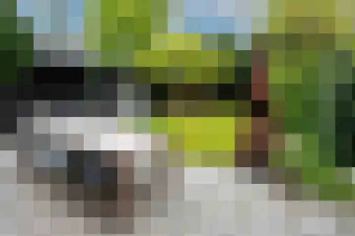 Wittelaan 21 Baarn thumbnail 46