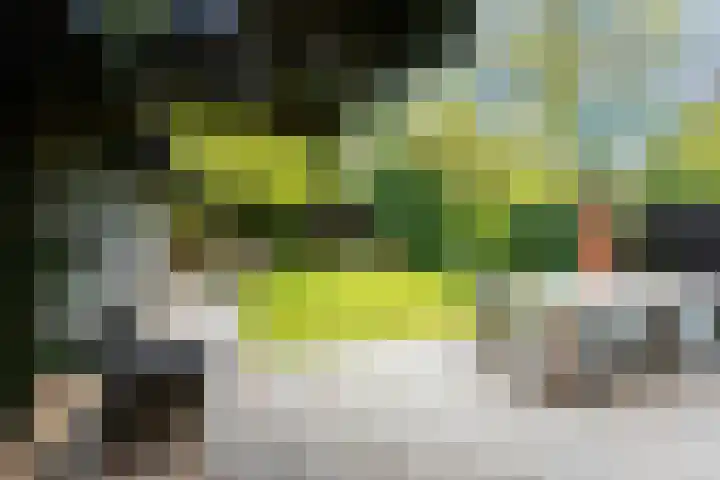Wittelaan 21 Baarn thumbnail 47