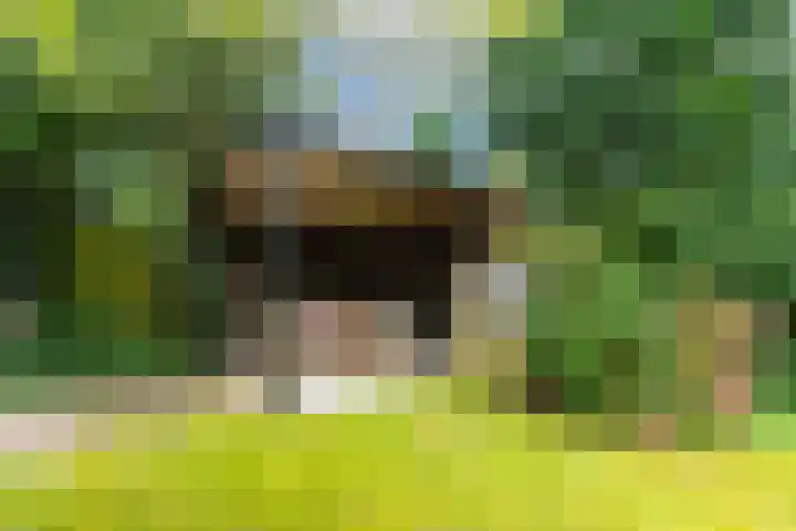 Wittelaan 21 Baarn thumbnail 48