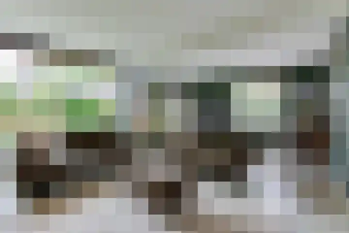 Wittelaan 21 Baarn thumbnail 5