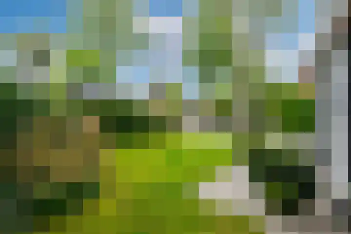 Wittelaan 21 Baarn thumbnail 53