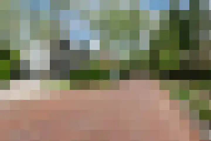 Wittelaan 21 Baarn thumbnail 55