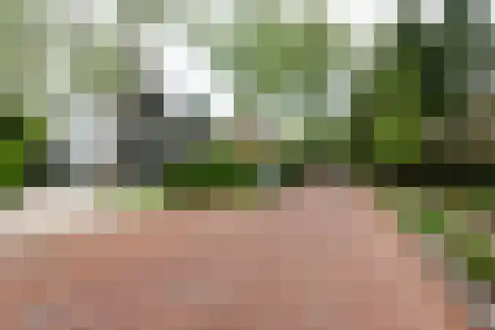 Wittelaan 21 Baarn thumbnail 56